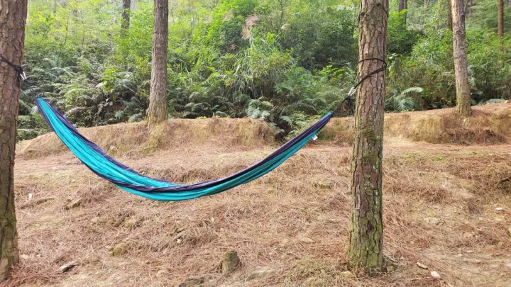 Outdoor Camping Hammock With Mosquito Net photo review