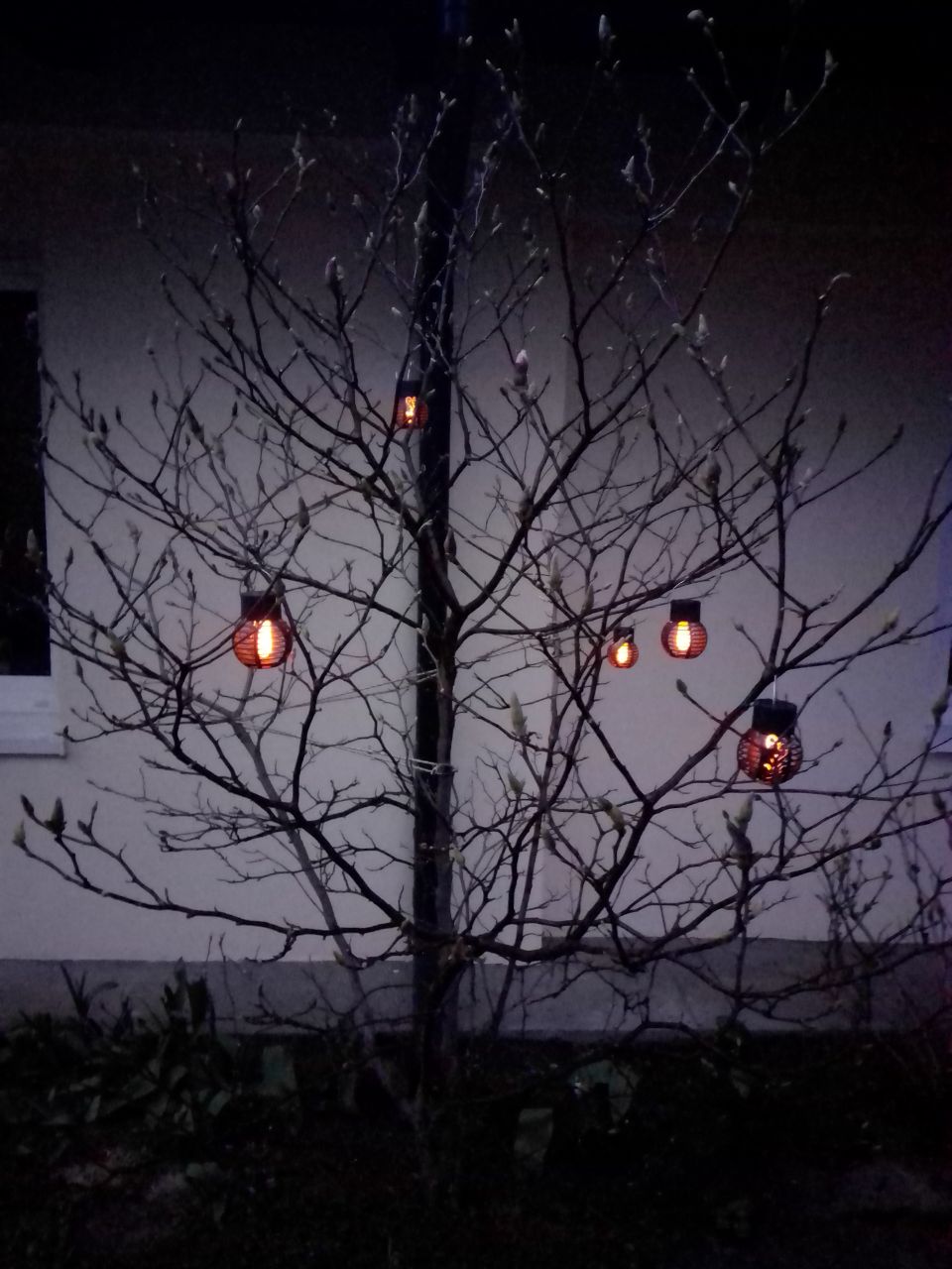 Waterproof Outdoor LED Solar Lights Decorate Your Garden photo review