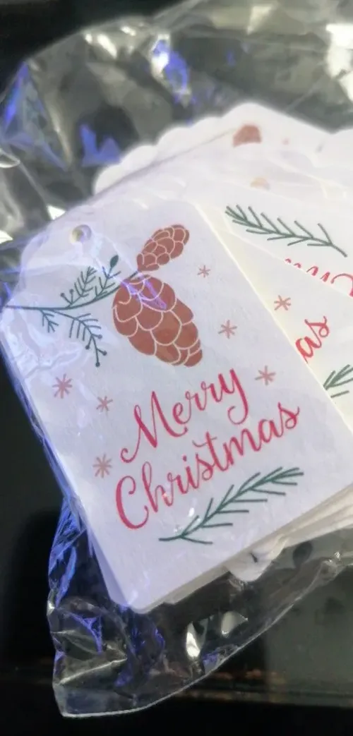 100Pcs Merry Christmas Hanging Tags With Santa Claus, Snowman, Xmas Tree, Snowflake photo review