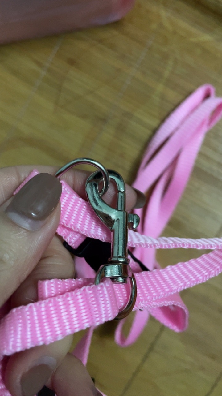 Pet Leash With Convenient Chest Belt photo review