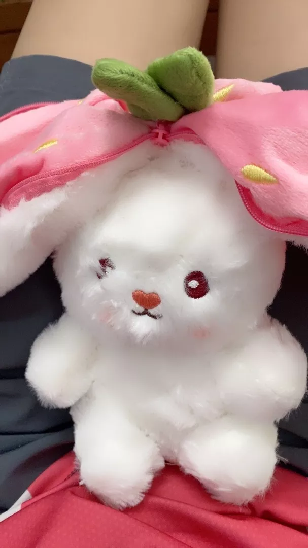 Cute Bunny Stuffed Animal Toy For Baby photo review