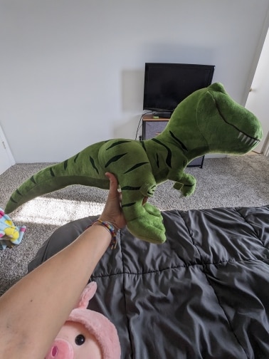 Cute Dinosaur Plush Toys for Kids photo review