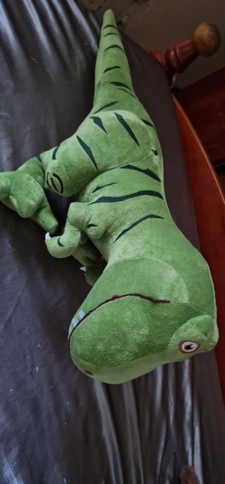 Cute Dinosaur Plush Toys for Kids photo review