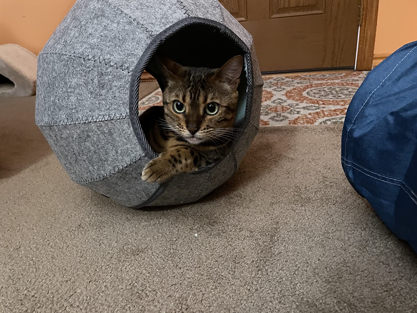 Foldable Cat Tunnel Toy photo review