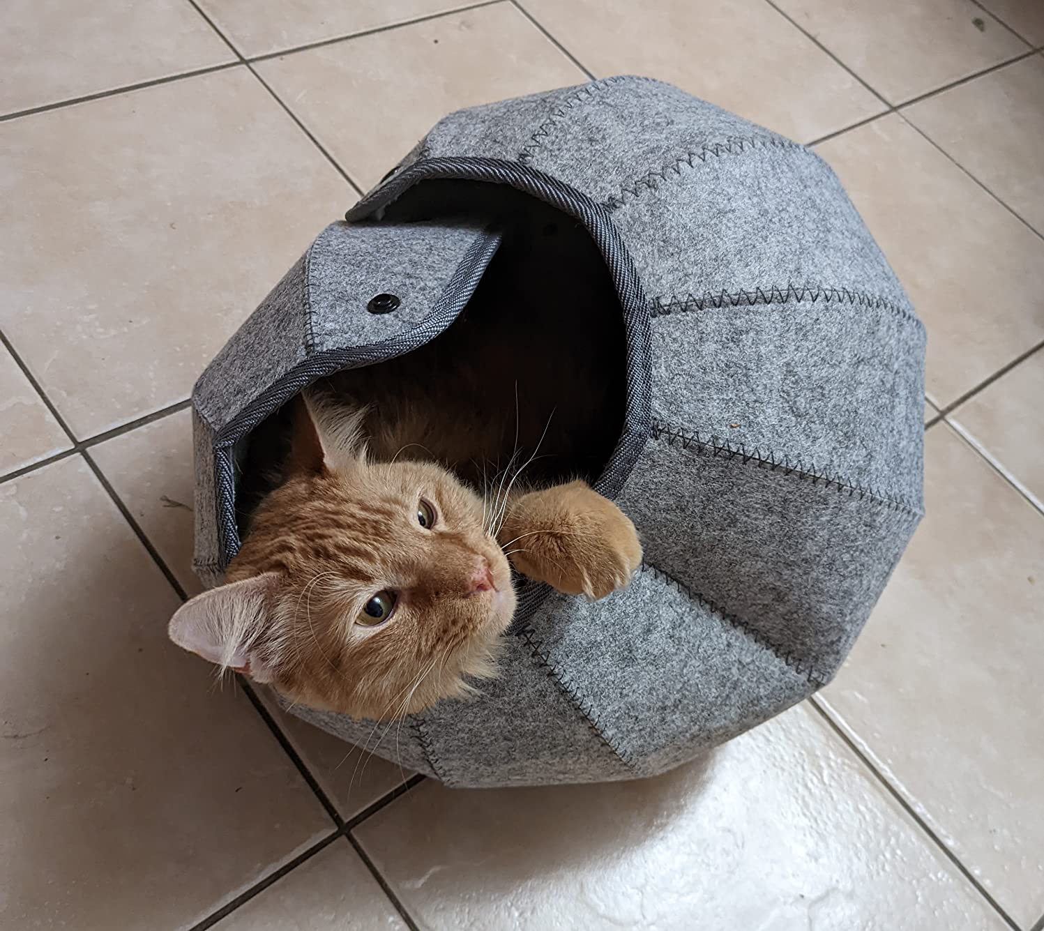 Foldable Cat Tunnel Toy photo review