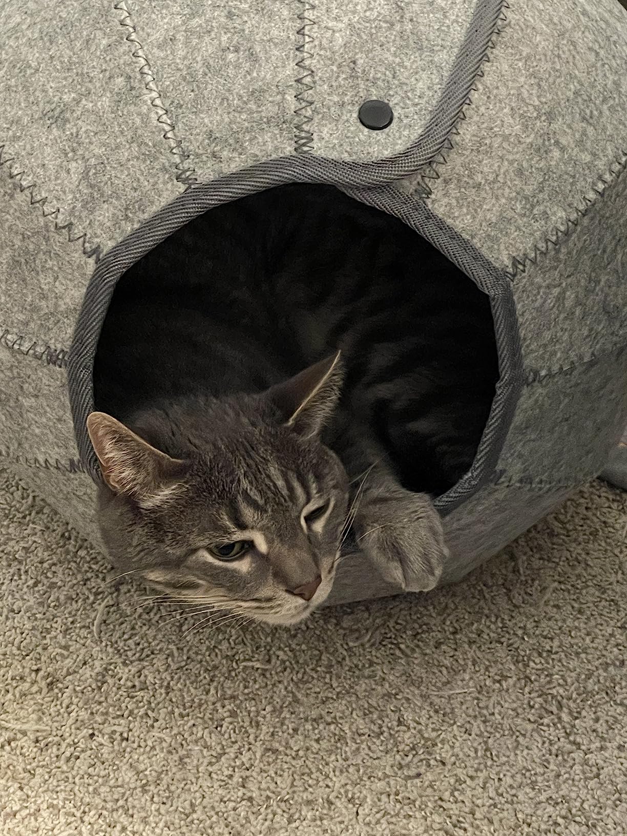 Foldable Cat Tunnel Toy photo review