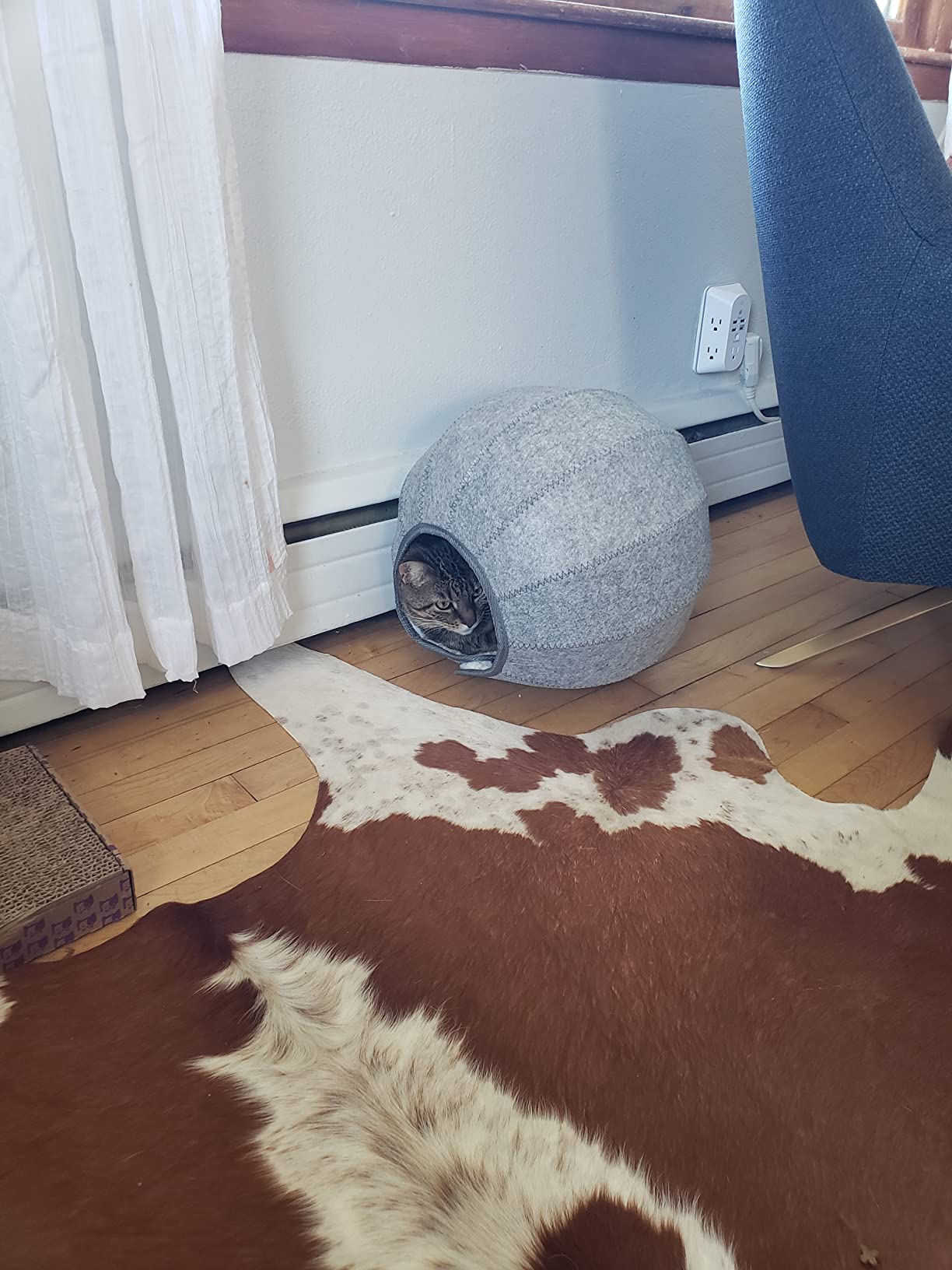 Foldable Cat Tunnel Toy photo review