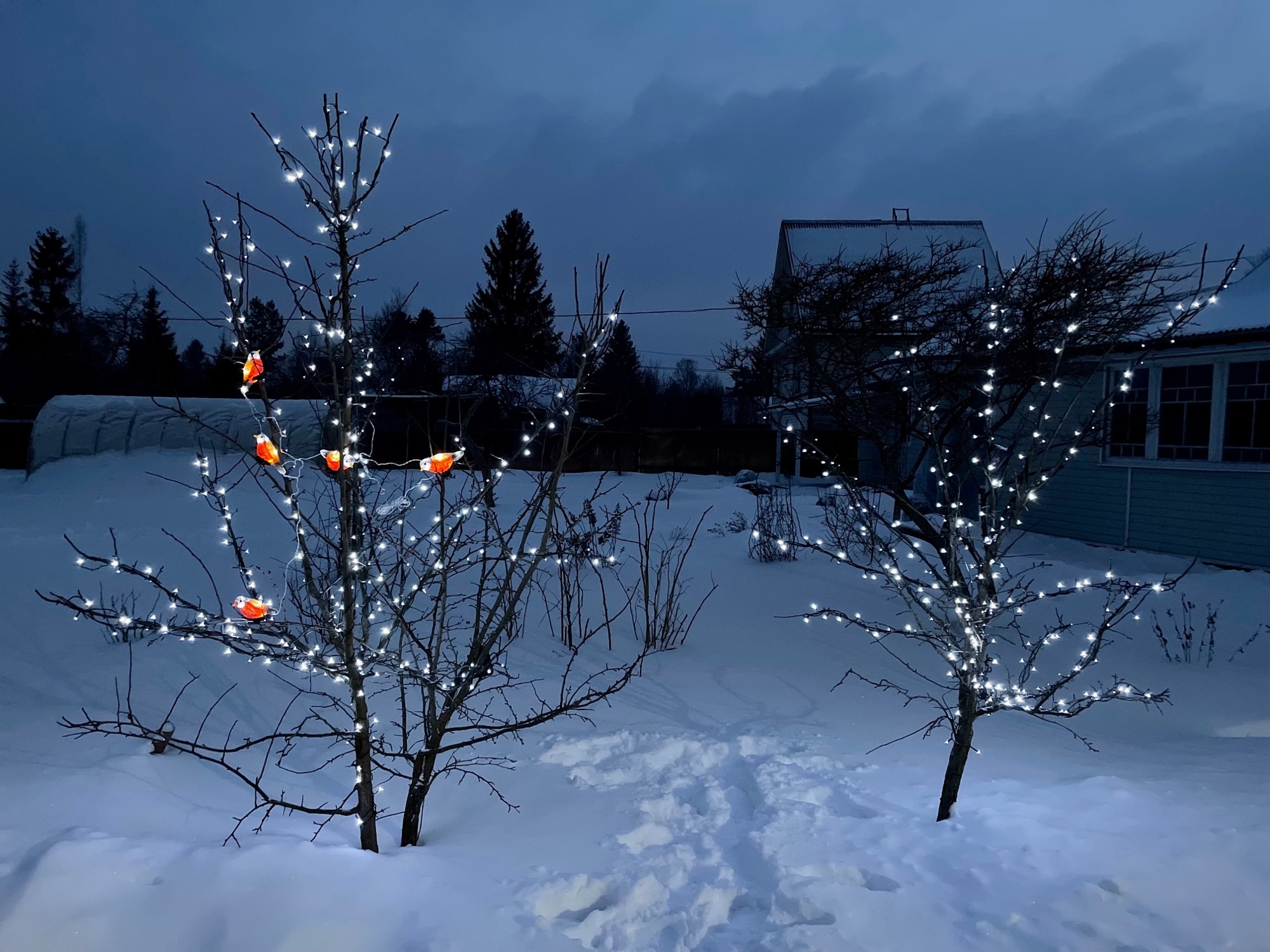 2.5M Solar Bird Led String Lights Outdoor Waterproof Christmas Tree Decoration photo review