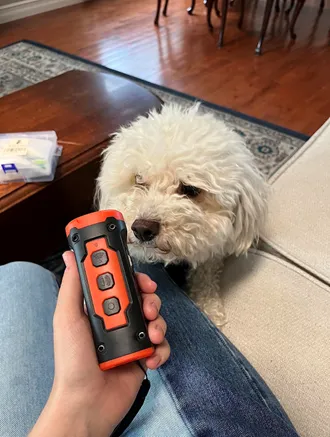 Rechargeable Dog Barking Deterrent Device With LED Flashlight photo review