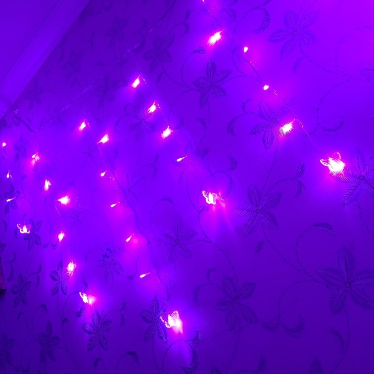 Butterfly Led Curtain Light for Holiday Decoration photo review
