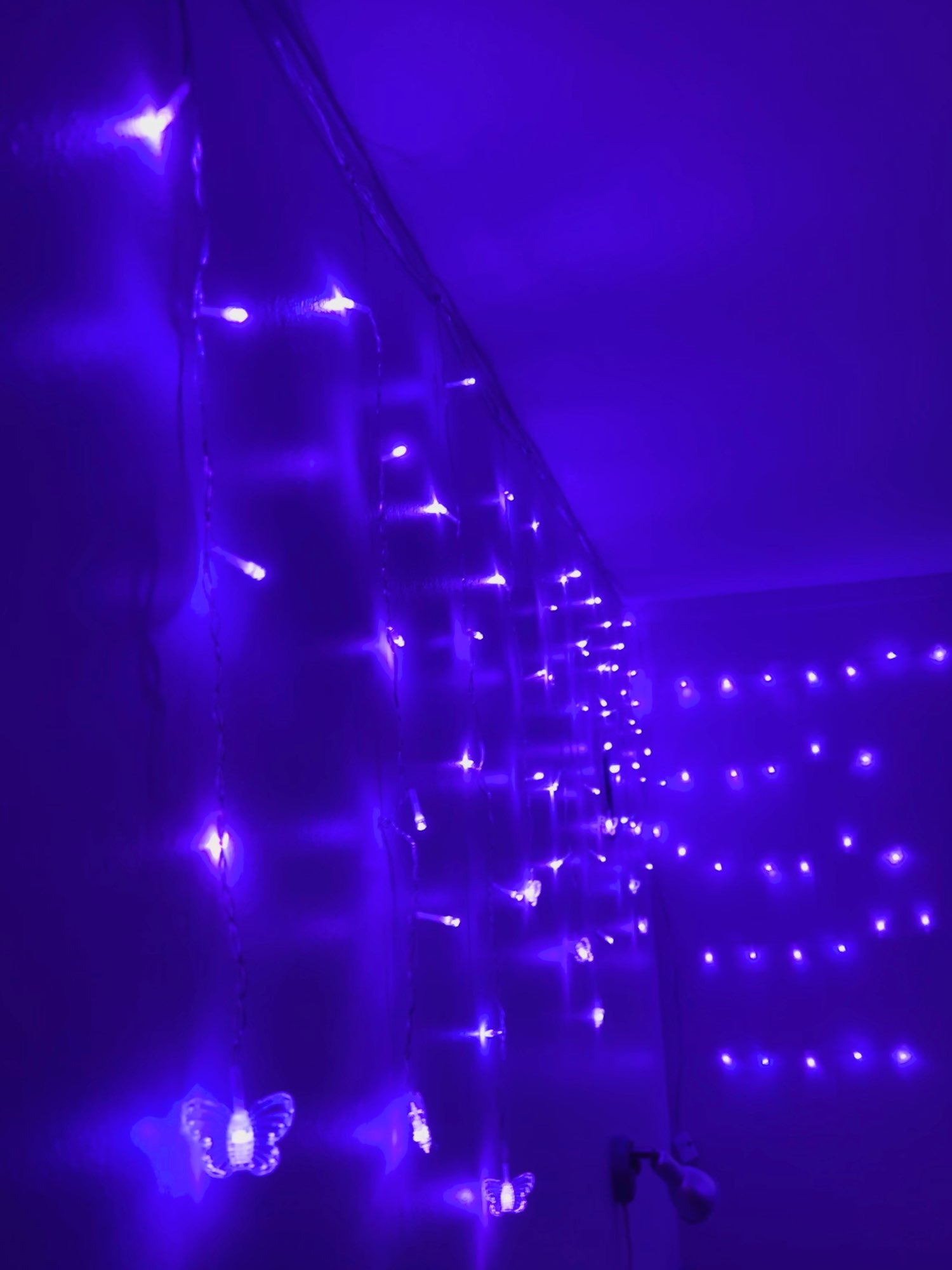 Butterfly Led Curtain Light for Holiday Decoration photo review