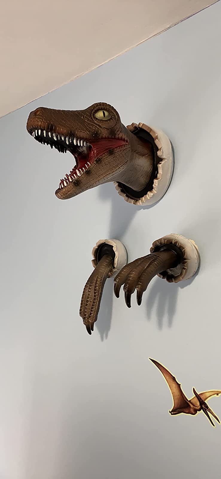 3D Wall Mount Dinosaur Bust Sculpture photo review