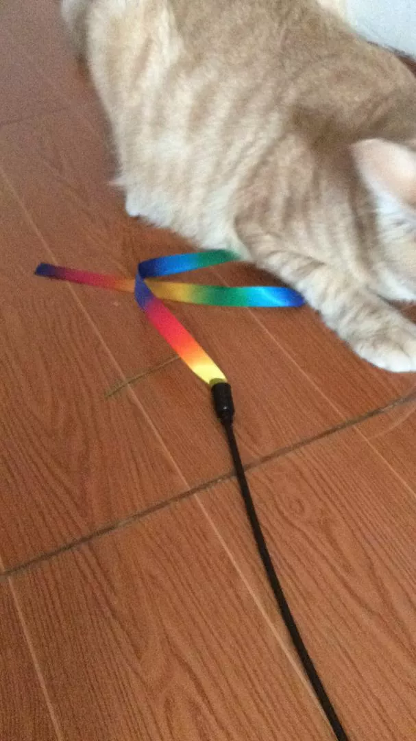 Convenient Colorful Ribbon Toy For Cats photo review