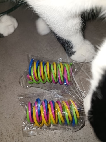 Wide Durable Cat Spring Toy for Kittens photo review