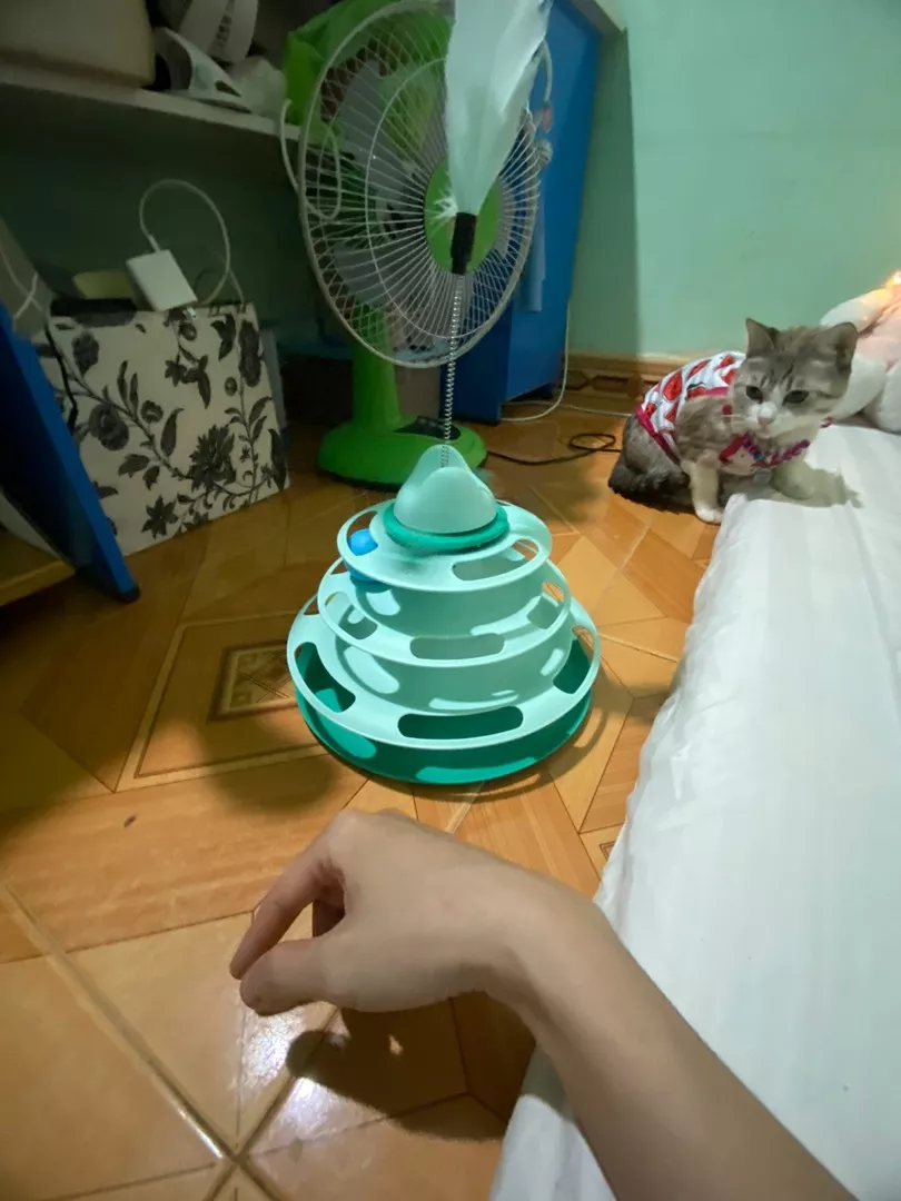 Convenient Feather Toy Ball Tower For Cats photo review