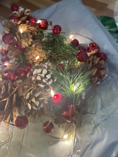 LED Christmas Garland With Lights photo review
