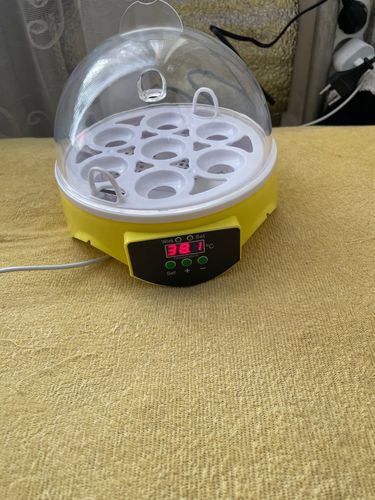 7 Piece Automatic Chicken Egg Incubator And Hatcher photo review