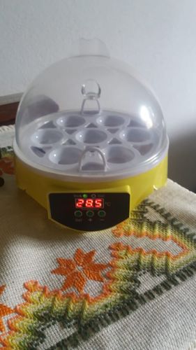 7 Piece Automatic Chicken Egg Incubator And Hatcher photo review