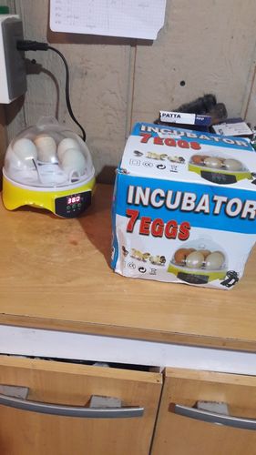 7 Piece Automatic Chicken Egg Incubator And Hatcher photo review