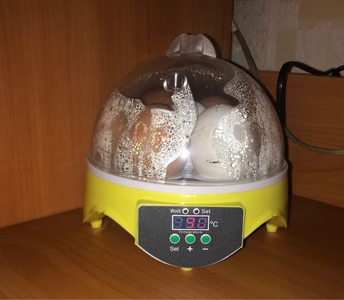 7 Piece Automatic Chicken Egg Incubator And Hatcher photo review