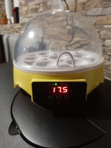 7 Piece Automatic Chicken Egg Incubator And Hatcher photo review