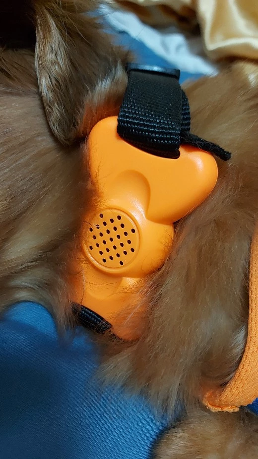Rechargeable Adjustable Dog Barking Deterrent Collar With Sound and Vibration photo review