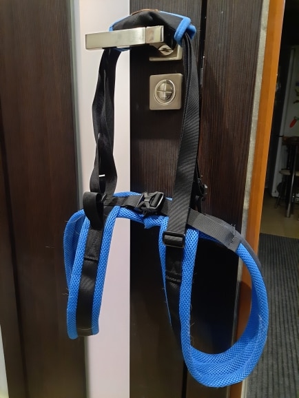 Conveniently Adjustable Pet Support Belt photo review