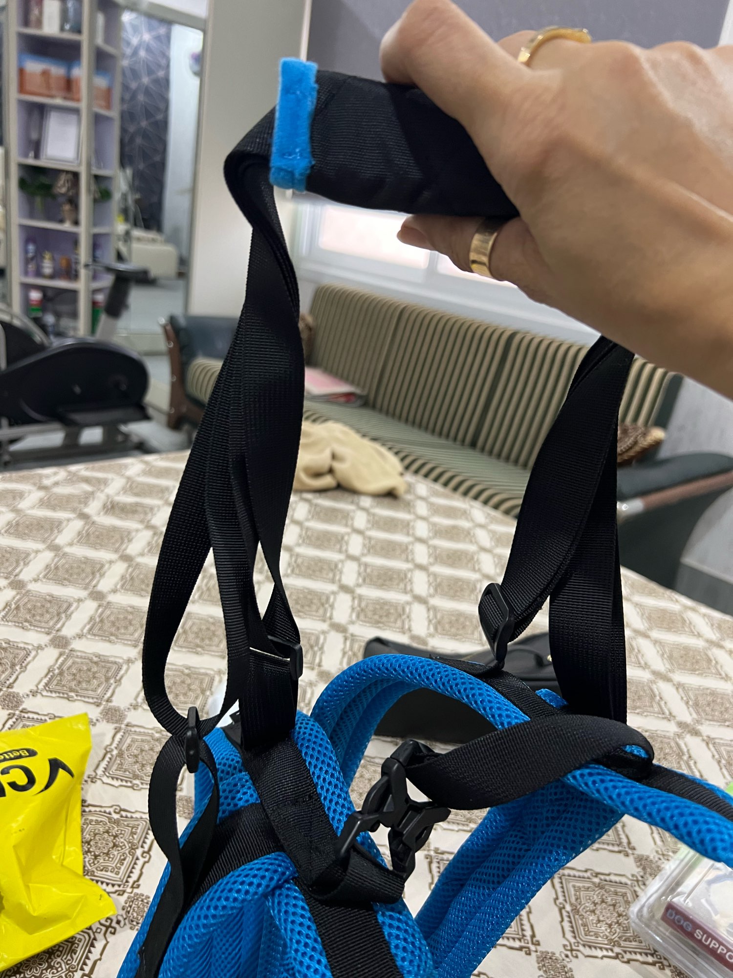 Conveniently Adjustable Pet Support Belt photo review