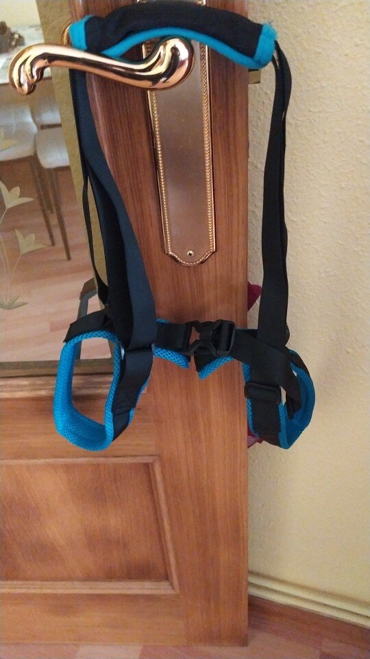 Conveniently Adjustable Pet Support Belt photo review