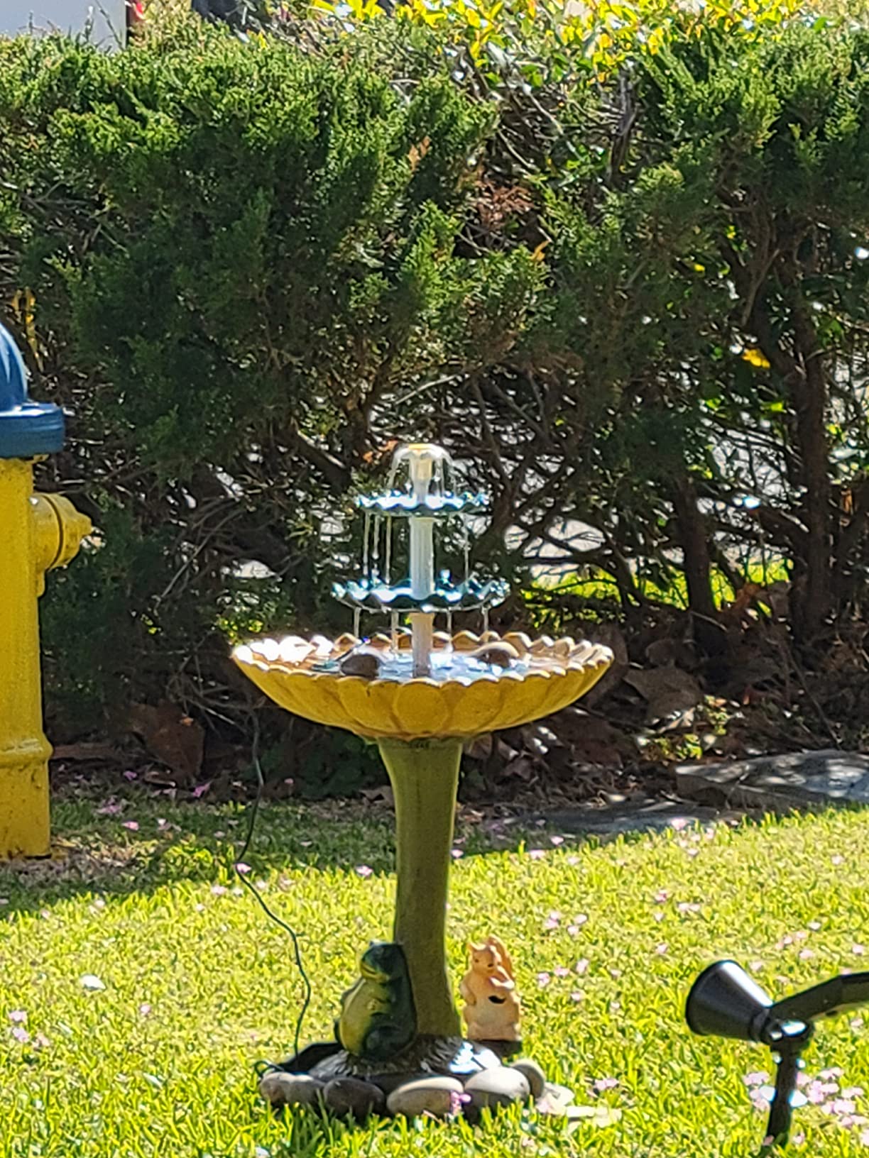 Tiered Bird Bath With 2.5W Solar Pump - Bird Bath And Decoration photo review