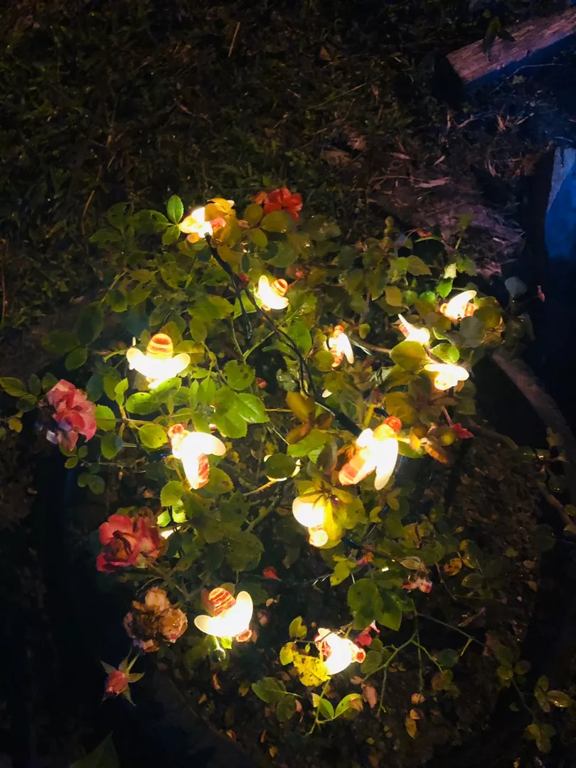 Convenient Bee-shaped Solar Lights Garden Decoration photo review