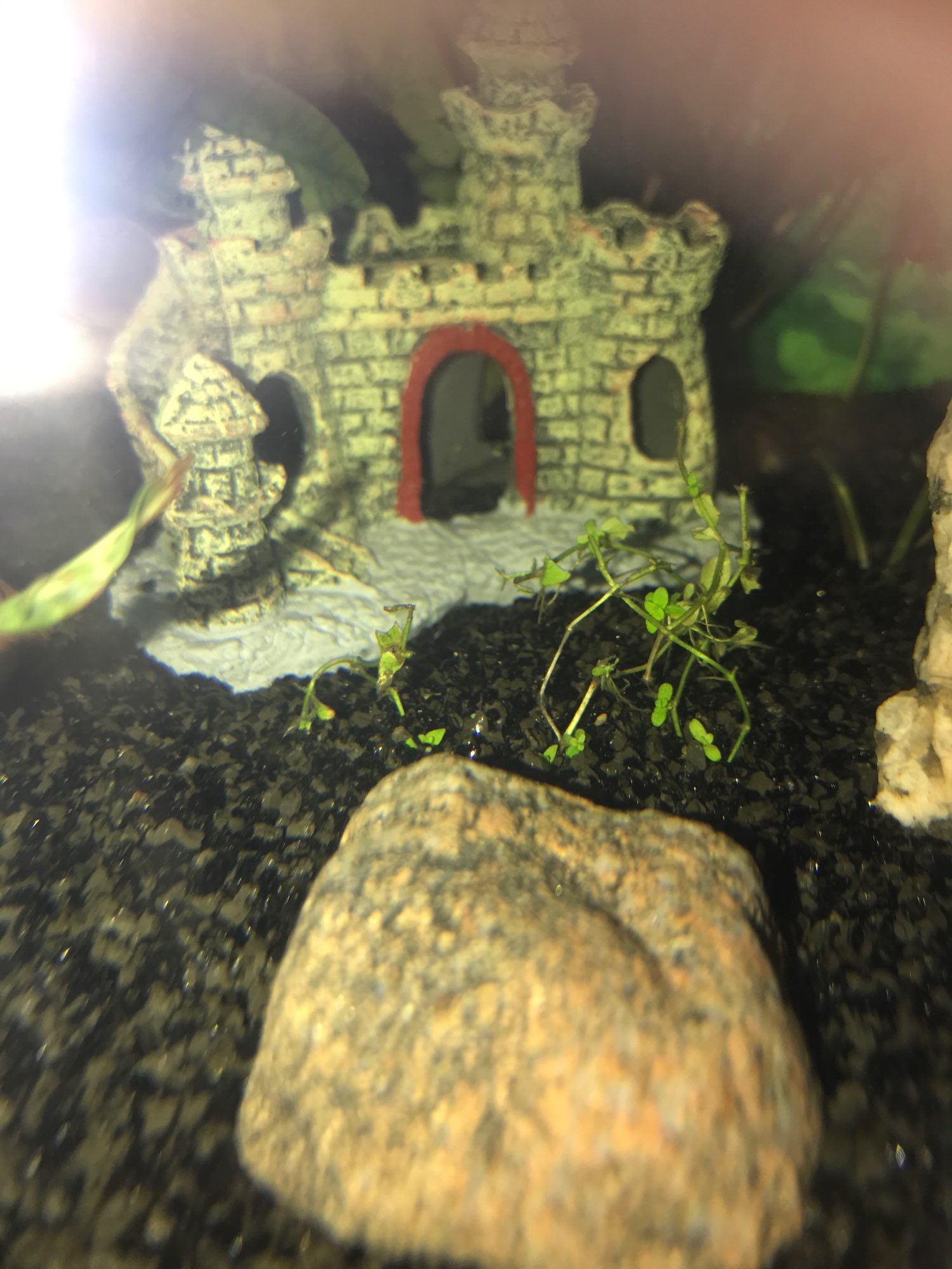 Ancient Castle For Aquarium Decoration photo review