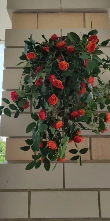 Rose Vine Wall Hanging Fake Flower Decoration photo review