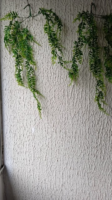 Artificial Persian Fern Vines for Home Garden Decoration photo review