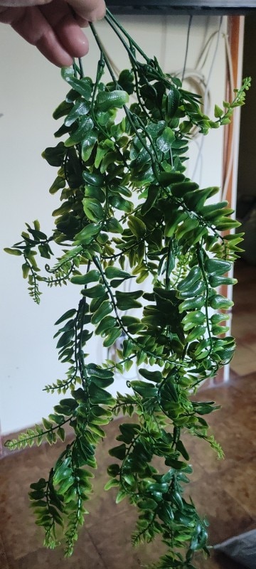 Artificial Persian Fern Vines for Home Garden Decoration photo review