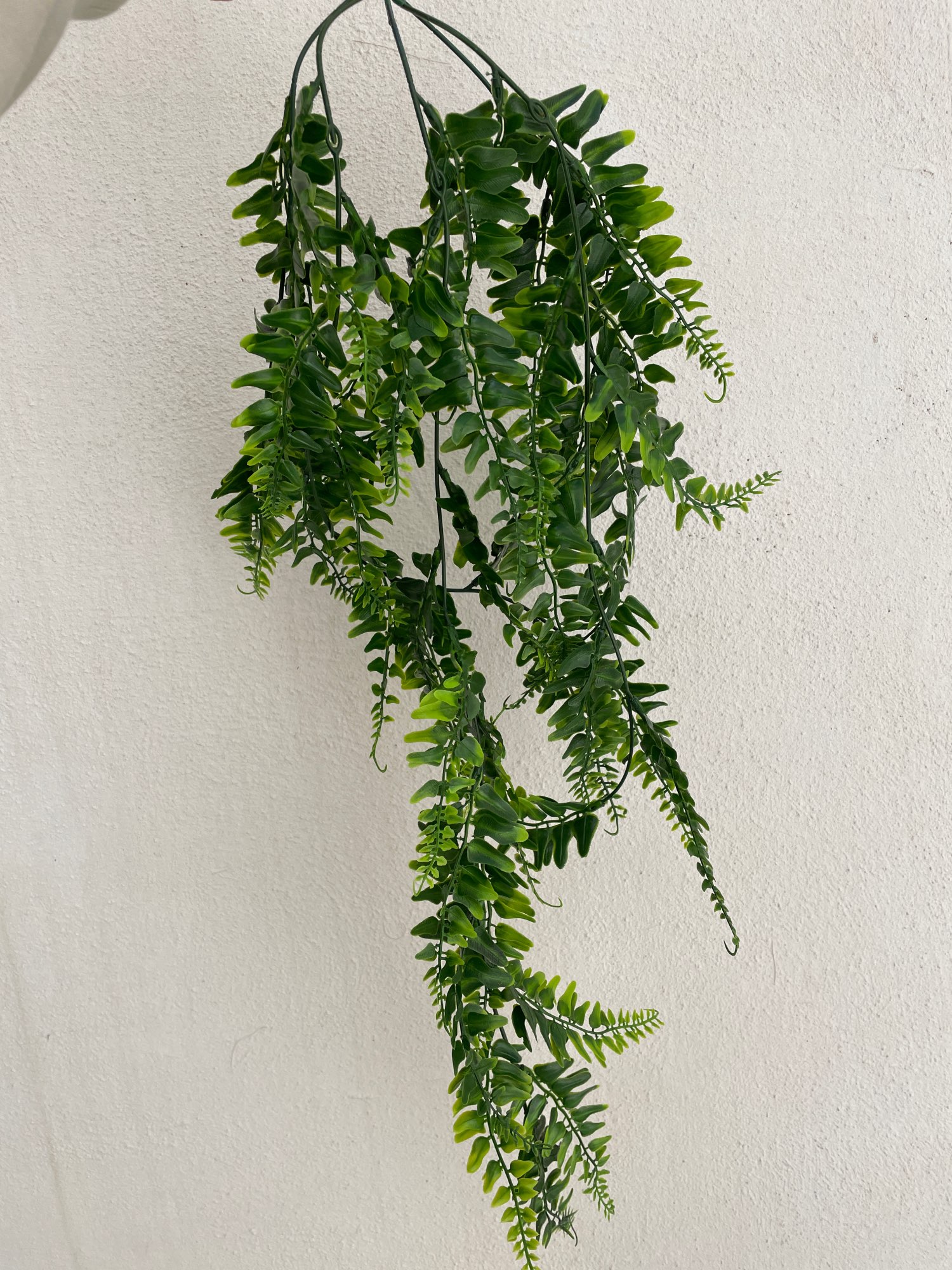 Artificial Persian Fern Vines for Home Garden Decoration photo review