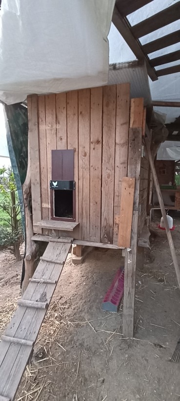 Convenient Automatic Chicken Coop Door photo review