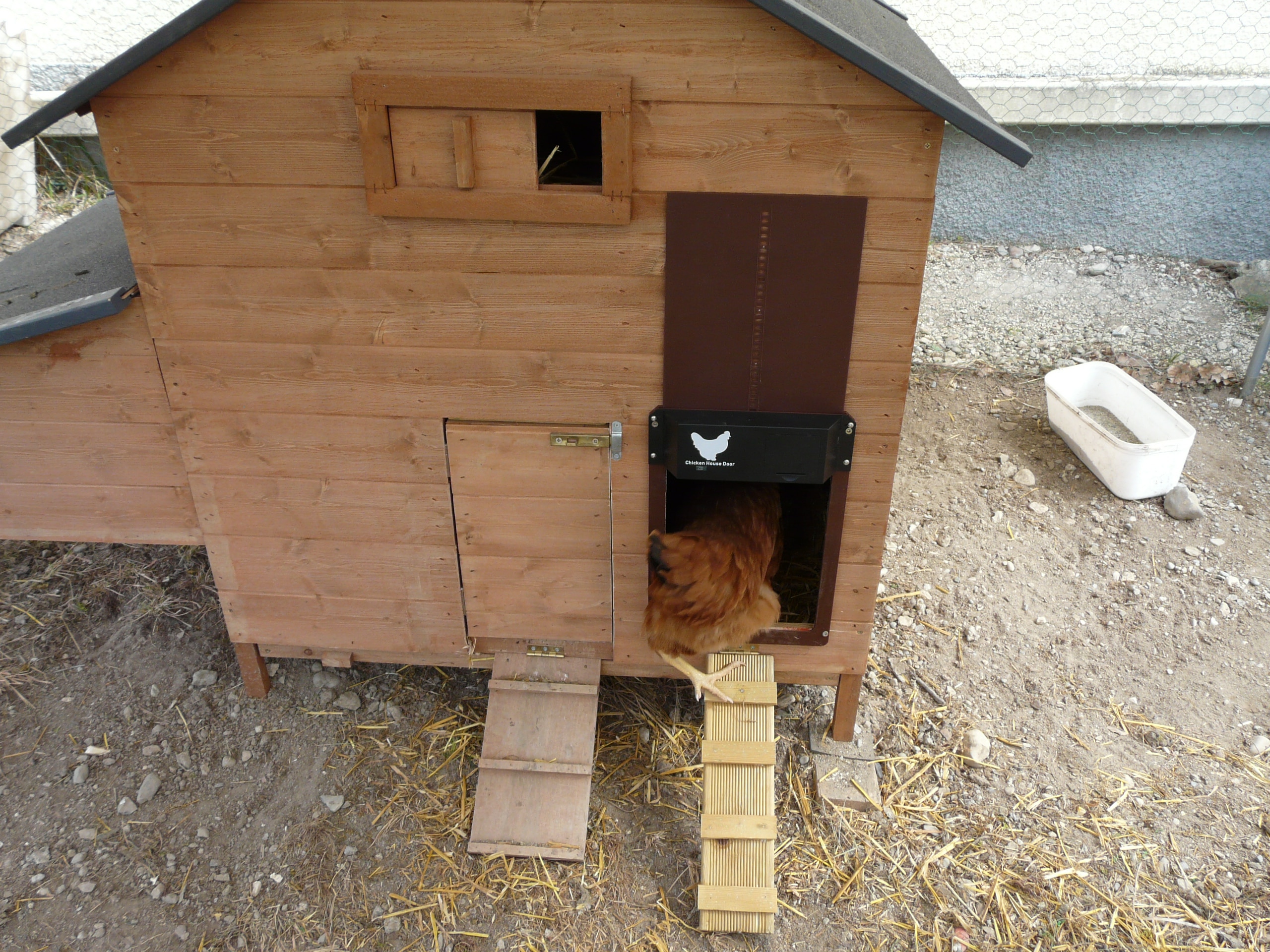 Convenient Automatic Chicken Coop Door photo review