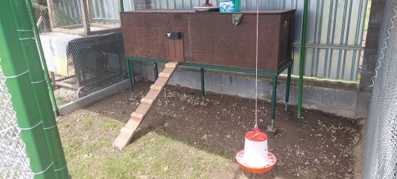 Convenient Automatic Chicken Coop Door photo review