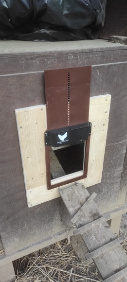 Convenient Automatic Chicken Coop Door photo review