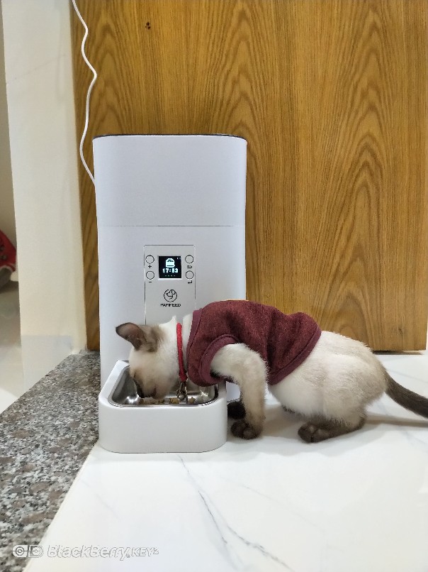 Automatic Pet Smart Feeder photo review