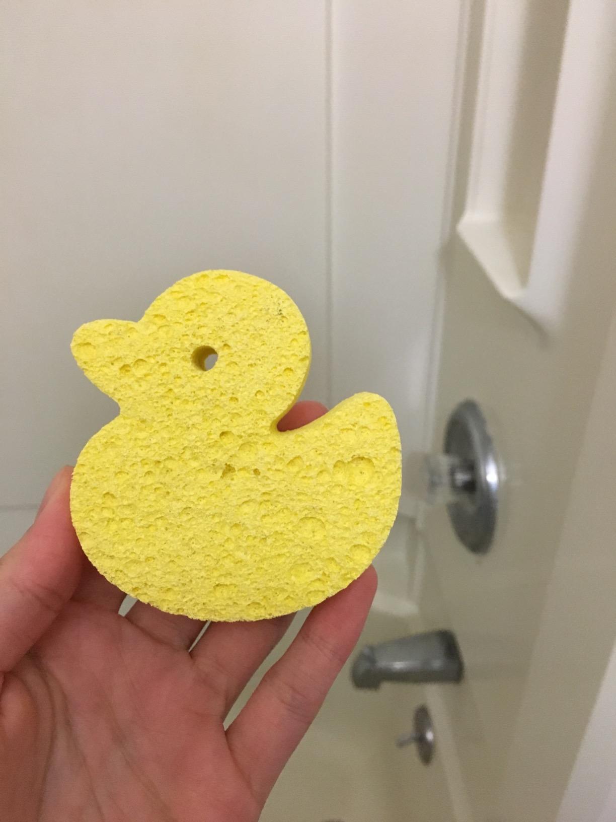 Cute Animal-Shaped Natural Bath Sponge For Babies And Children photo review