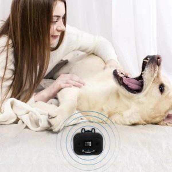 Rechargeable Ultrasonic Dog Bark Deterrent Collar With Adjustable LCD Screen And 15M Range