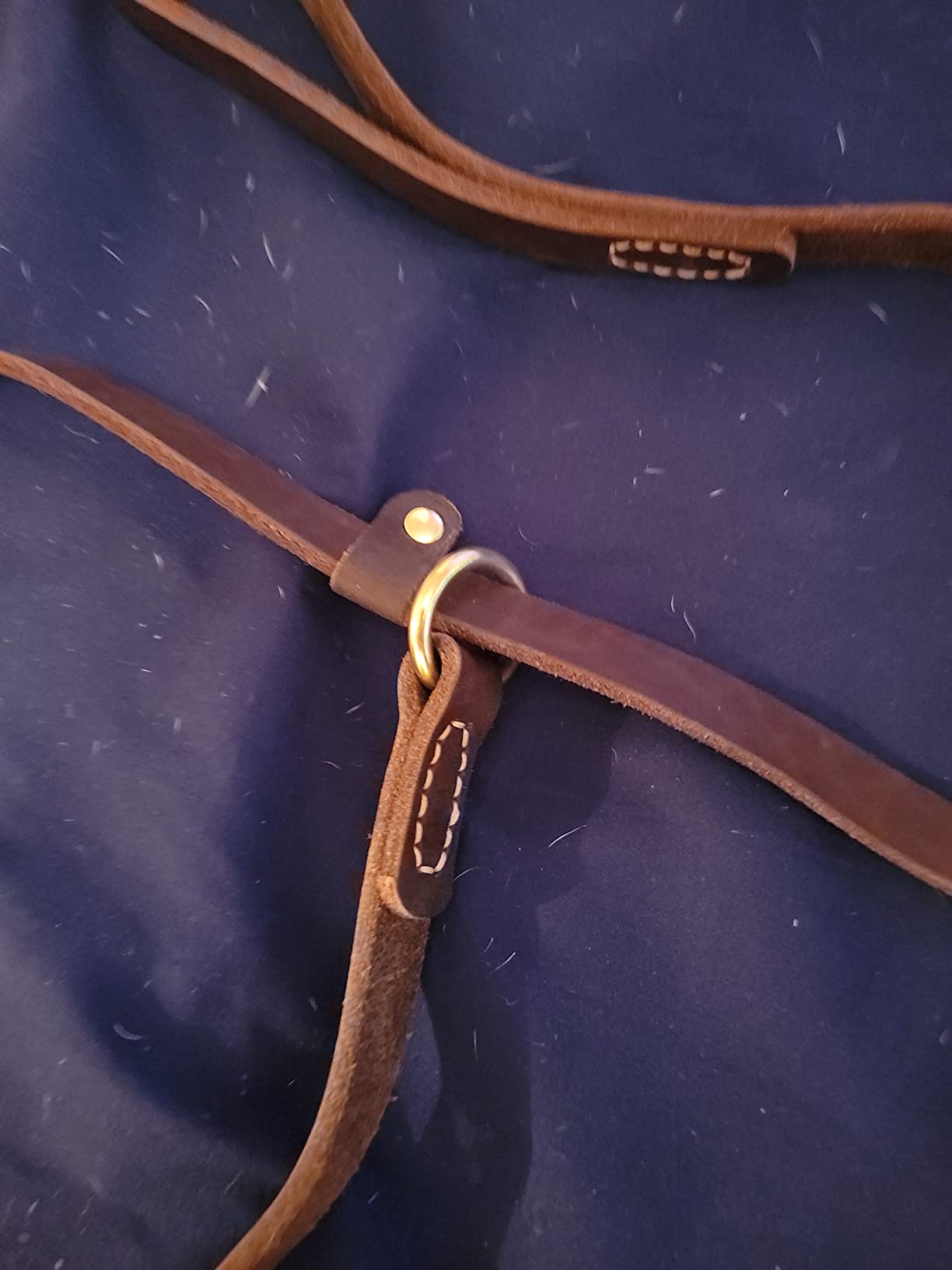 Adjustable Leather Pet Leash With Convenient Slide photo review