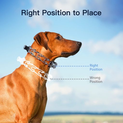 Benepaw Adjustable Stainless Steel Prong Dog Collar with Rubber Tips for Training