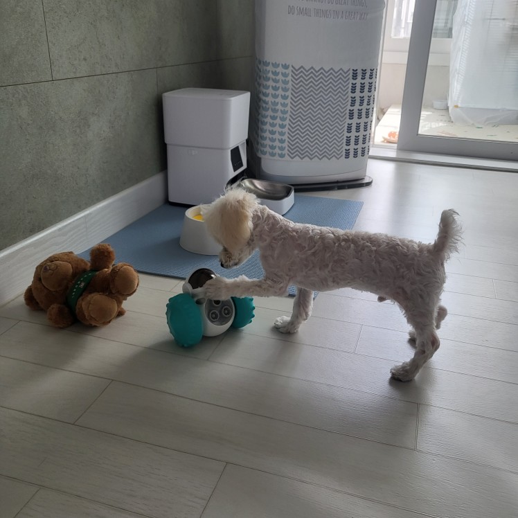 Interactive Pet Food Dispenser Toy for Dogs photo review