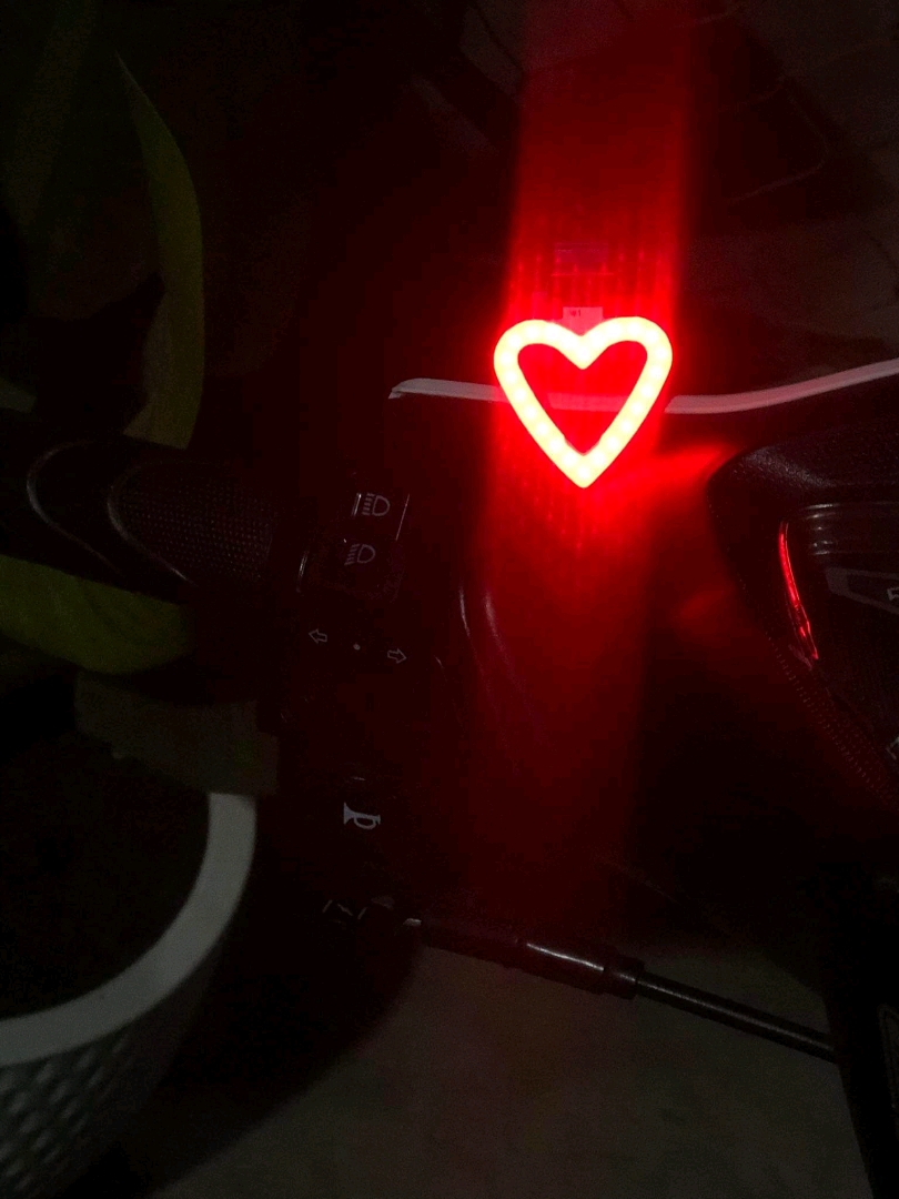 Bike Tail LED Light photo review