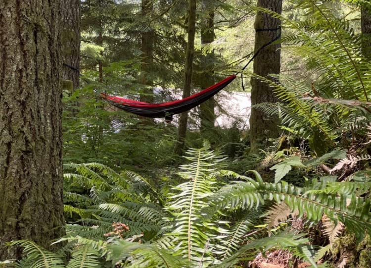 Convenient Travel Camping Hammock photo review