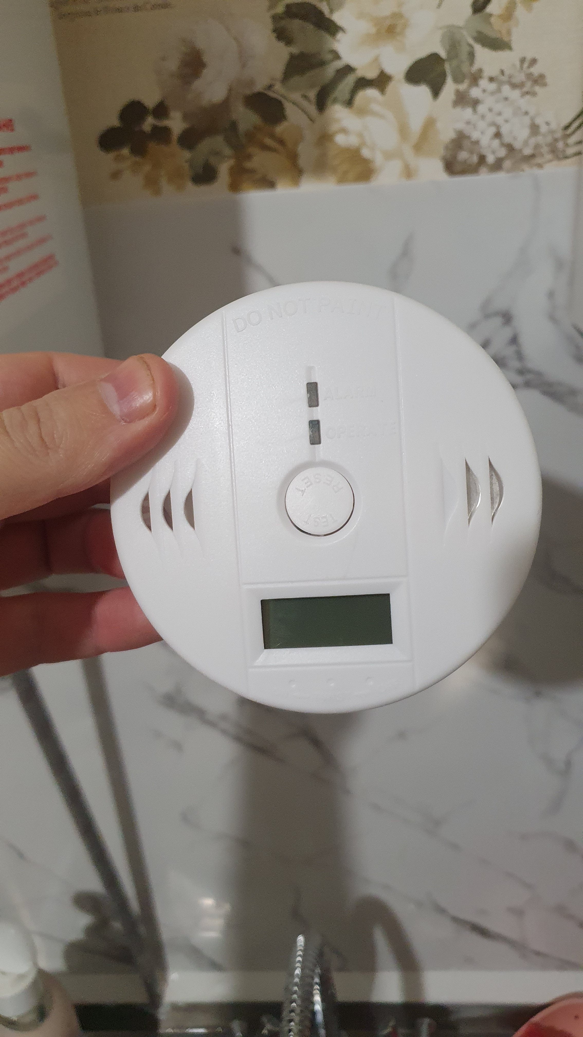 Carbon Monoxide Alarm photo review