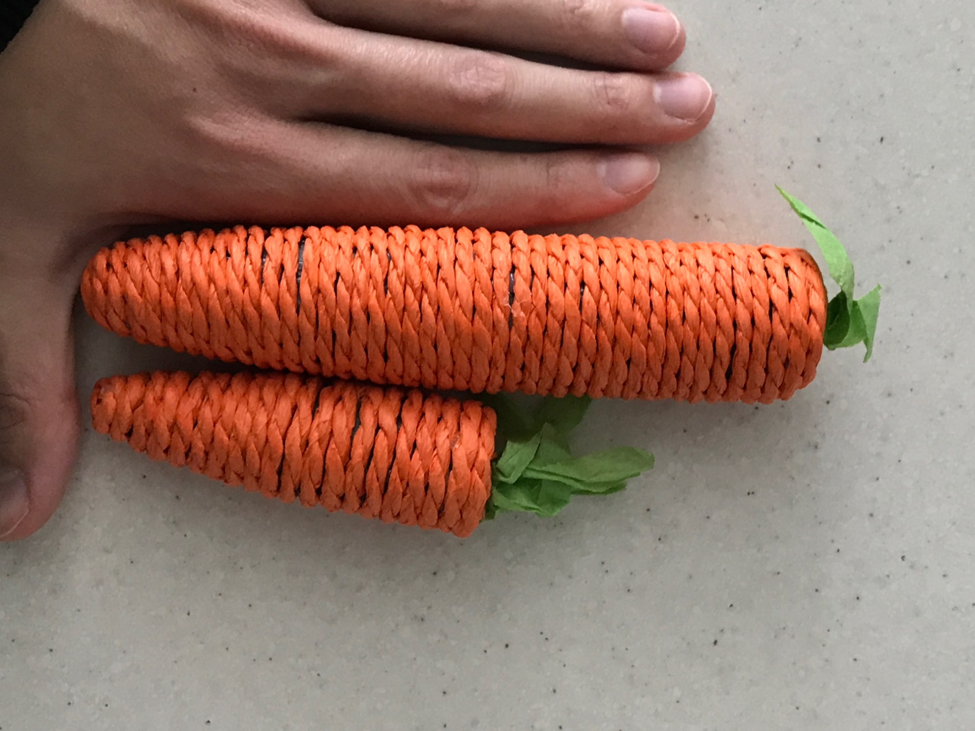 Carrot Toy For Cats To Chew Conveniently photo review